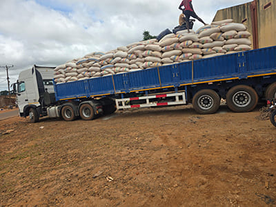 Feedback from Mozambique Client
