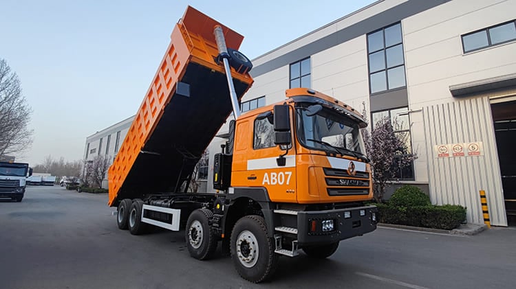 Brand New SHACMAN F3000 Dump Truck for Sale in Cameroon